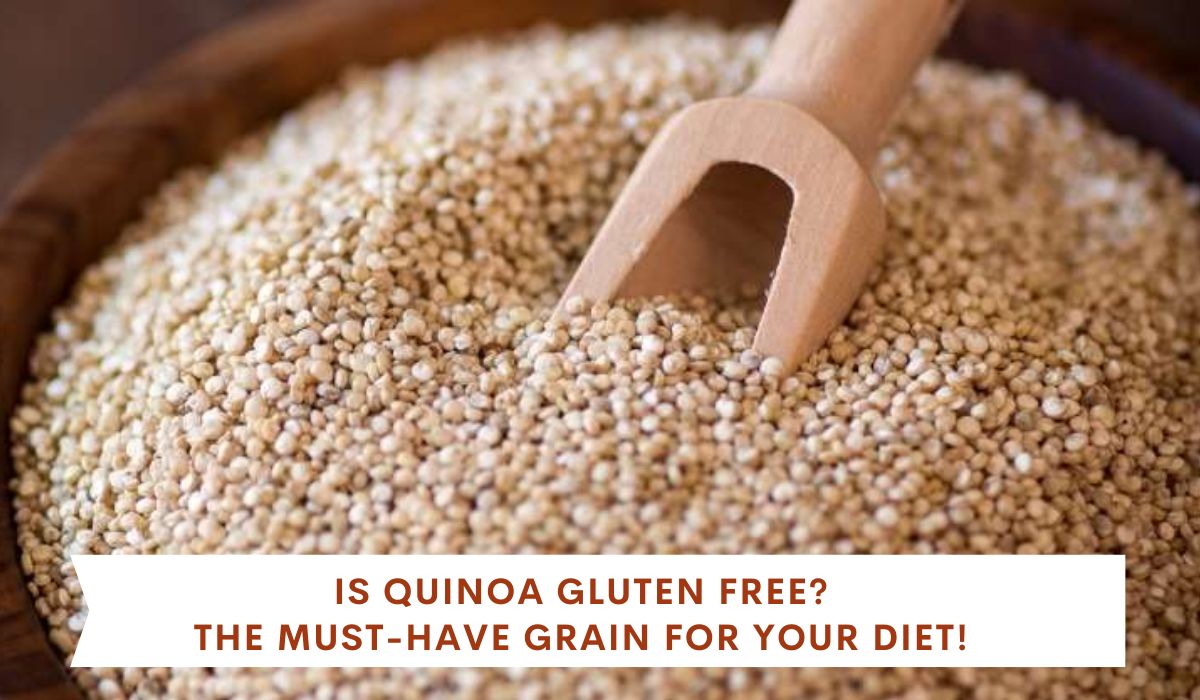 Is Quinoa Gluten-Free? Learn about quinoa's gluten-free status and health benefits.