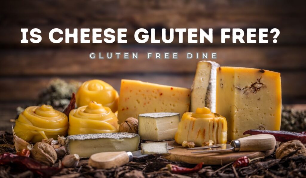 Image showing various shapes and types of cheese to answer the question, "Is Cheese Gluten Free?" including Cheddar and Mozzarella